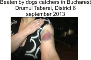 beaten by dogs catcher